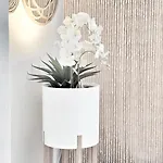 Seahouse By Jelena Appartamento *